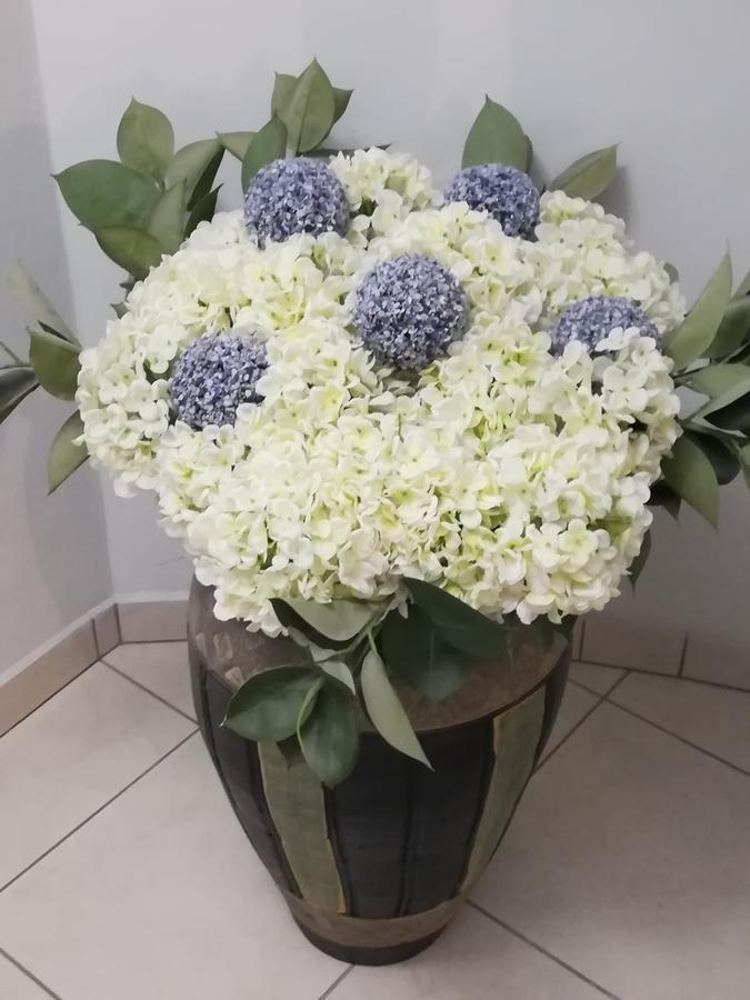 Hotel Europa - Family And Senior Friendly Kavála Kültér fotó